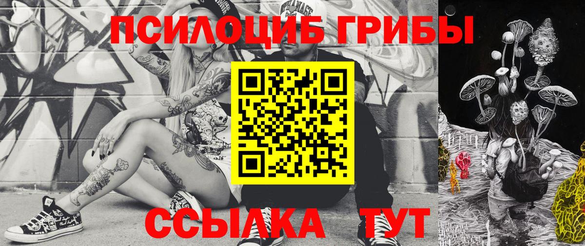 Псилоцибиновые грибы Psilocybine cubensis Чебаркуль