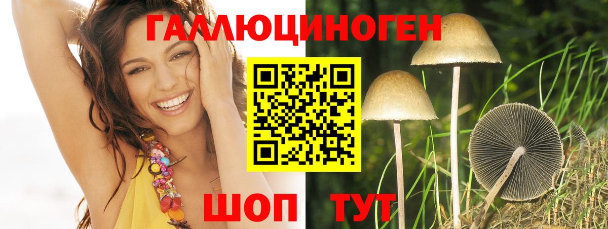 Галлюциногенные грибы мицелий  Галлюциногенные грибы Psilocybine cubensis  Чебаркуль  Вход с VPN 